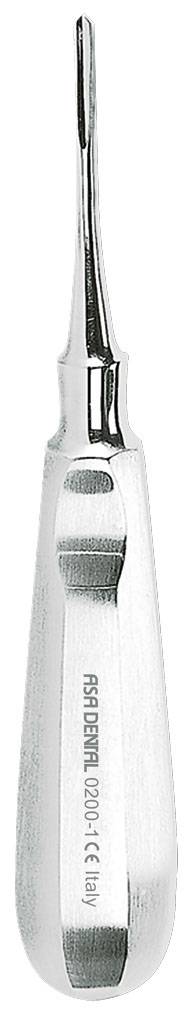 1254650.jpg