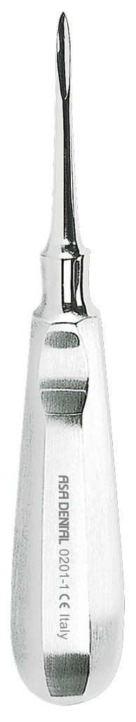 1254651.jpg