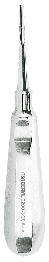 1254654.jpg