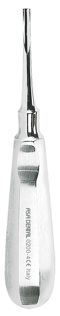 1254656.jpg