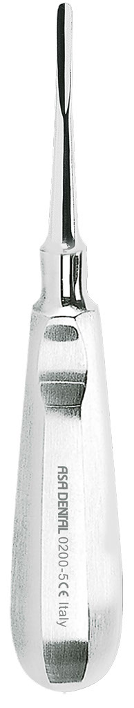 1254657.jpg