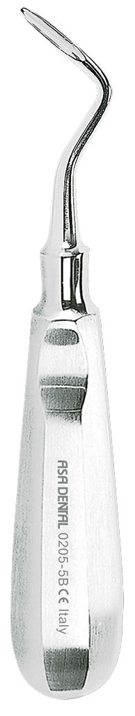 1254703.jpg