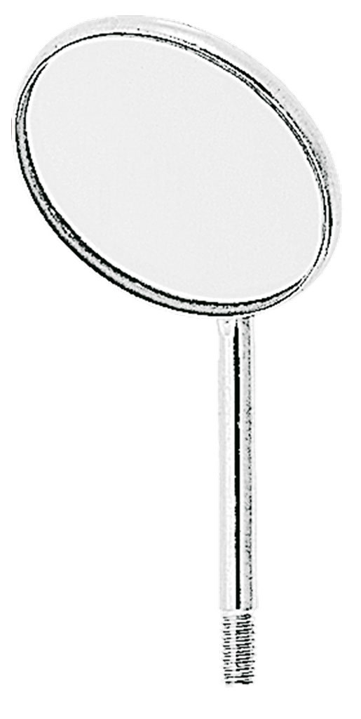 1254852.jpg