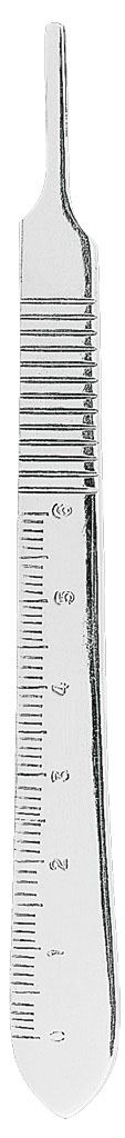 1255001.jpg