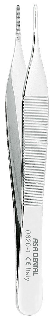 1255701.jpg