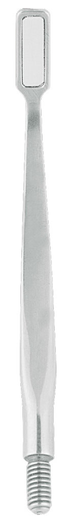 1283301.jpg