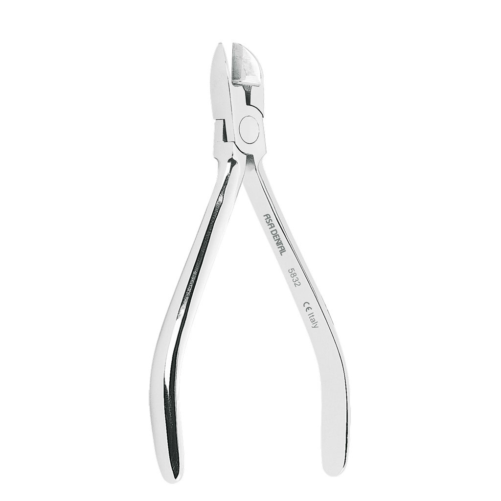 1283557.jpg