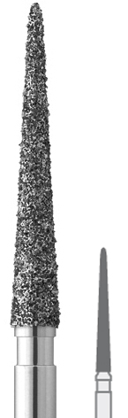 17669003.jpg