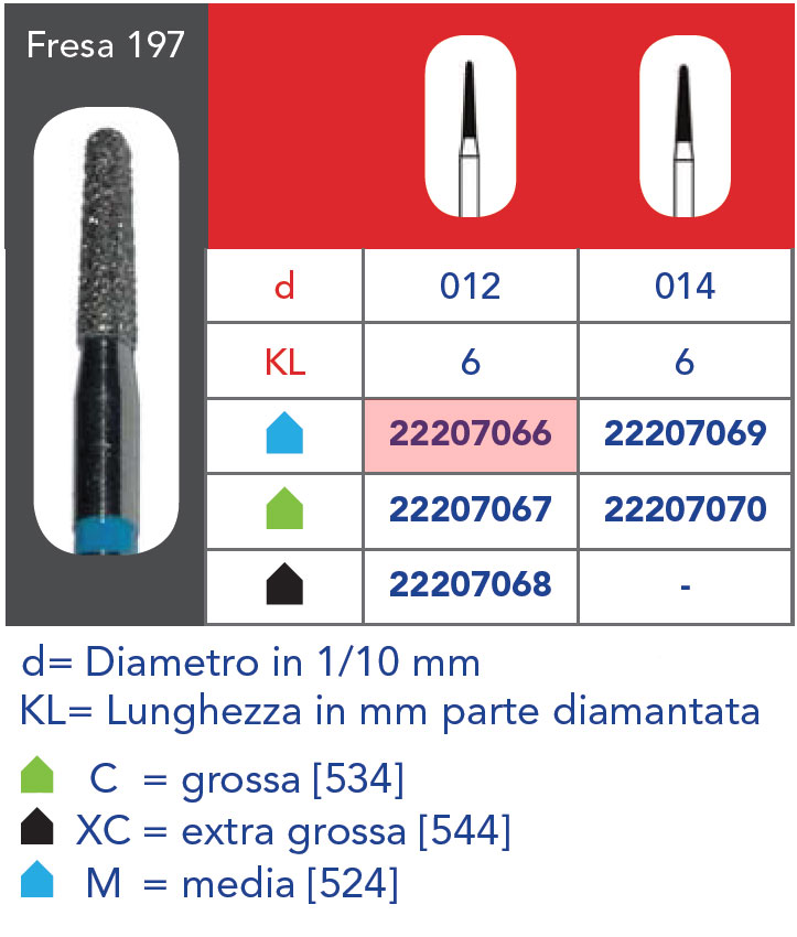 22207066.jpg