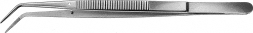 31218000.jpg
