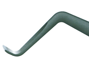 4705030.jpg
