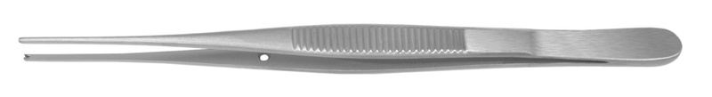 4770075.jpg