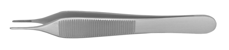 4770077.jpg