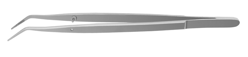 4770154.jpg