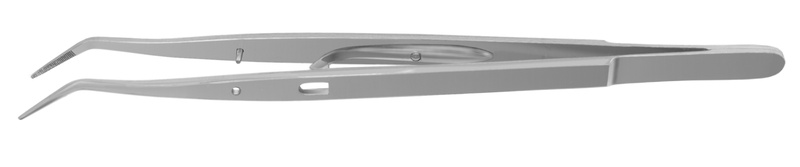 4770155.jpg