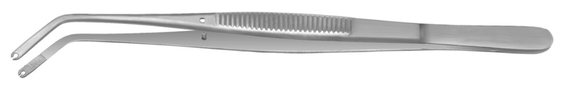 4770179.jpg