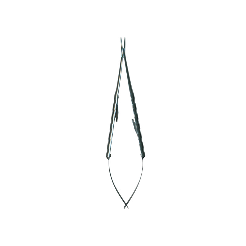 4773647.jpg
