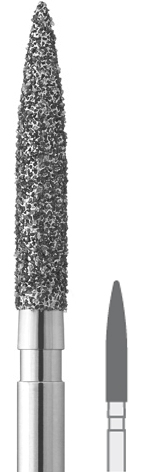5000324.jpg