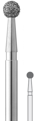 5001876.jpg