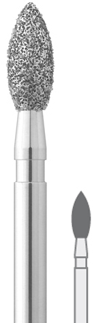 5009005.jpg