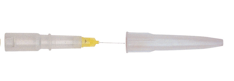 5420073.jpg