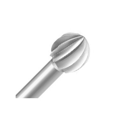 6096401.jpg