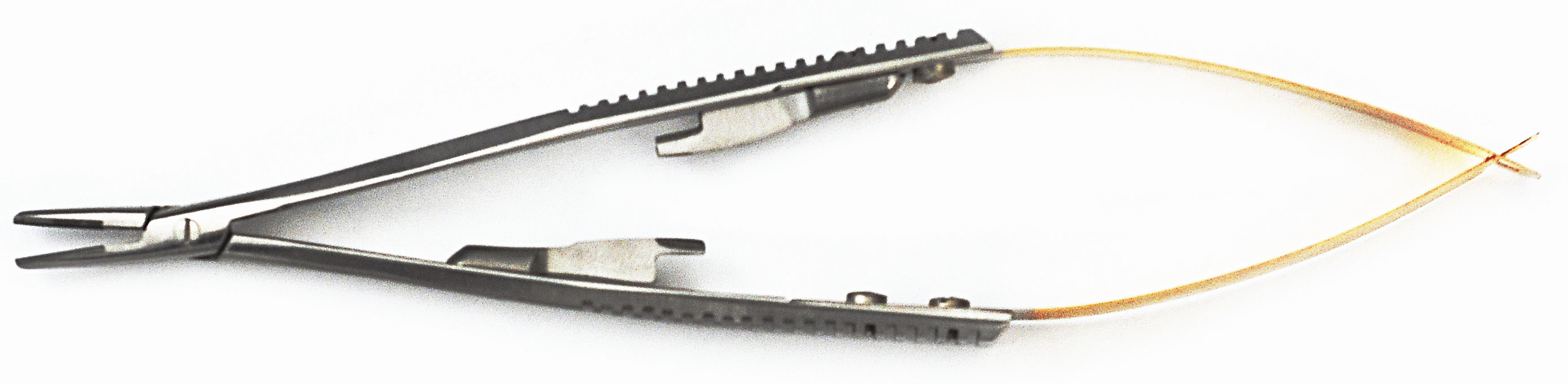 7000580.jpg
