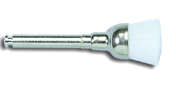 7250031.jpg