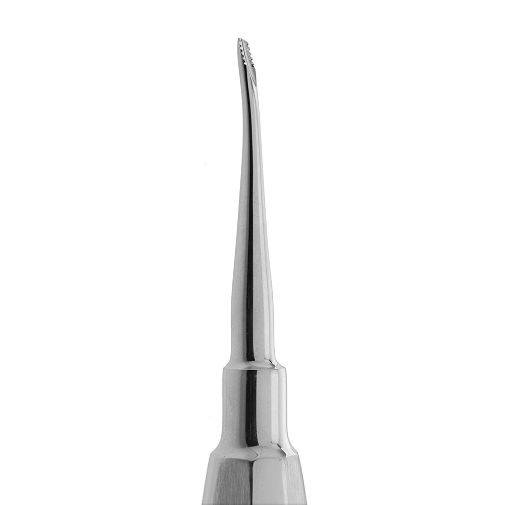 pa01-23157_41241000.jpg