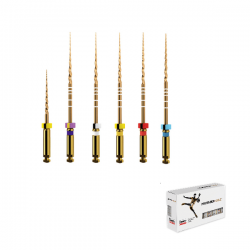 protaper-gold-surtido_0
